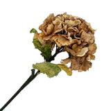 HORTENSIA D'AUTOMNE SÉCHÉE APPARENCE 22" MARRON TAN VINTAGE