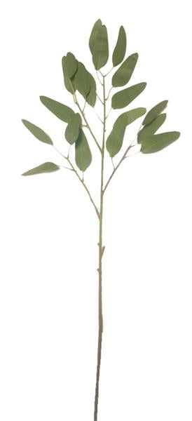 Branche d’eucalyptus 12.5"