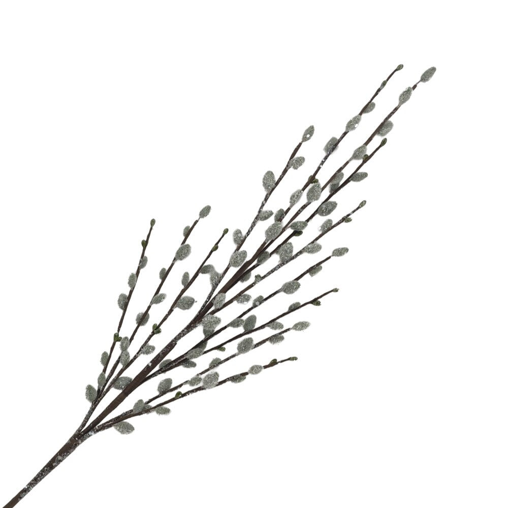 Branche de saule marsault (32 po) : tiges brunes et bourgeons verts duveteux