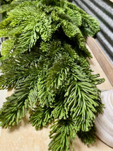 Sapin noble en forme de larme « Fresh Touch », 26 po