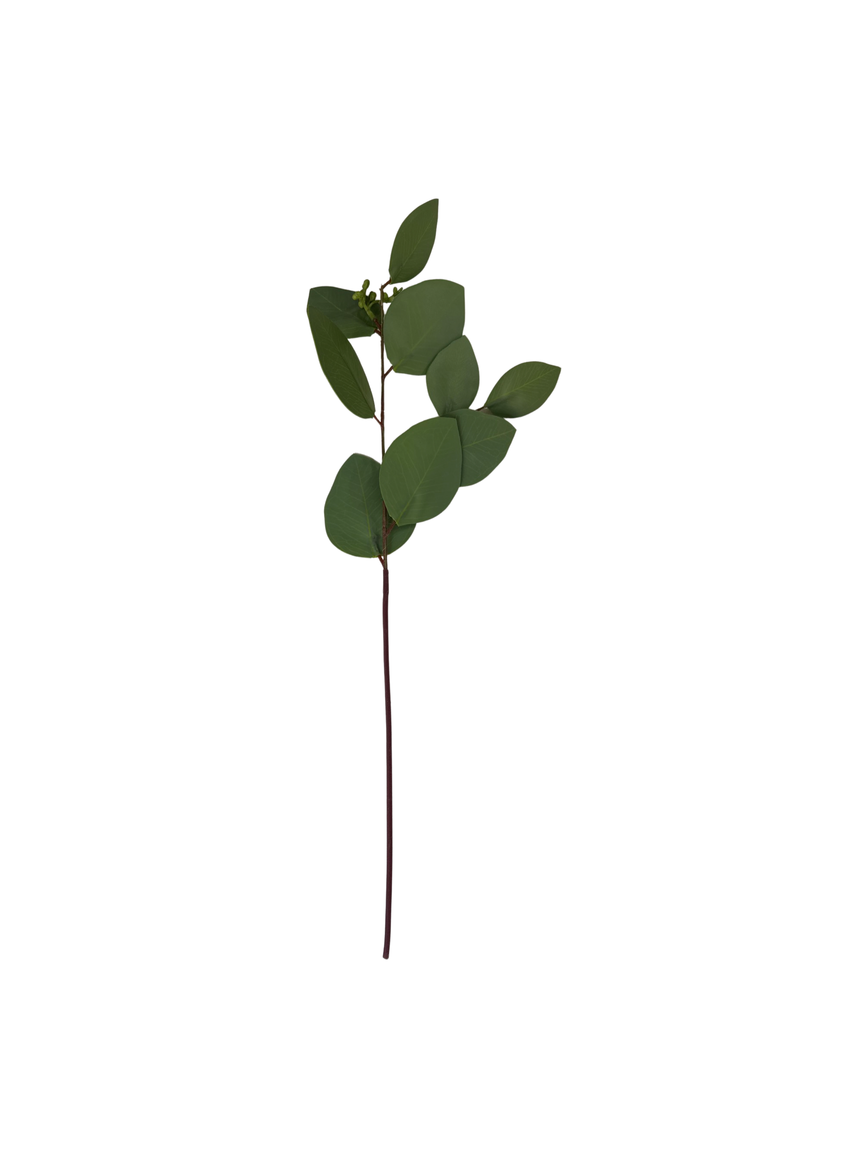 Feuille d