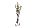 Bouquet de branche de saule